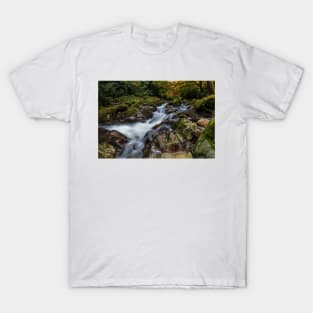 Shimna River Cascade T-Shirt